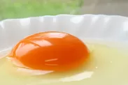 新鮮卵