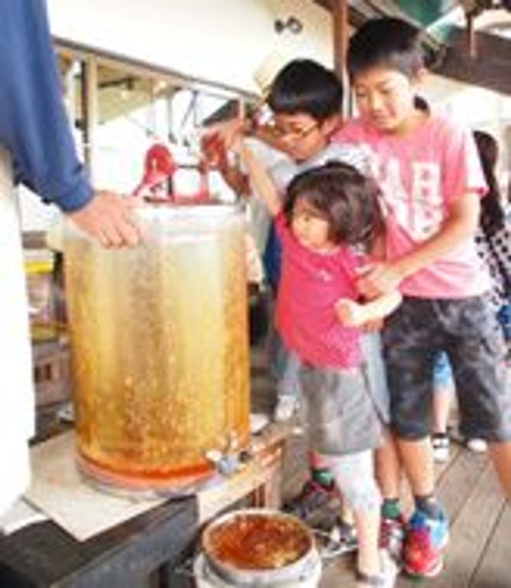 「六甲山ミツバチ やまみつ」
採蜜体験＆しぼりたてハチミツ試食会
好評につき6月10日（日）に六甲ガーデンテラスで開催！