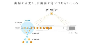 歯垢を除去し、虫歯菌を寄せつけないしくみ(1)