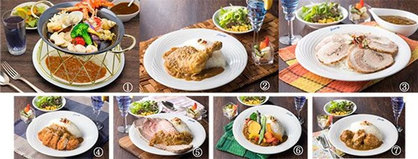 ～選べる幸せ～　9種類のカレーが登場
「東京スパイスアイランド2018」
開催 2018年6月1日（金）より 第一ホテル東京シーフォートにて