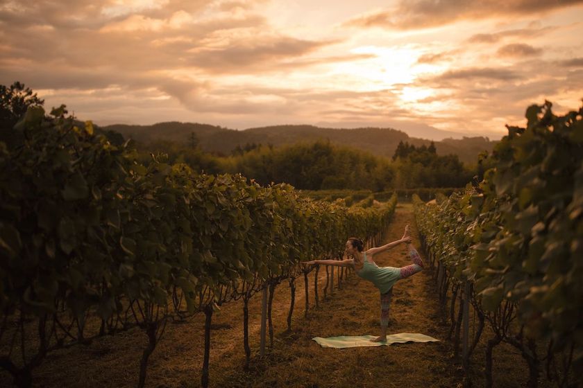 星野リゾート　リゾナーレ八ヶ岳（山梨県北杜市）
爽やかな白ワイン、シャルドネを堪能する宿泊プラン
「シャルドネステイ」提供
提供日：2018年7月5・12・19・26日、8月2日