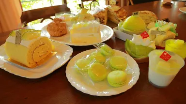 メロンフェア　画像