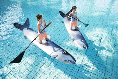 【トマム】鮭SUP