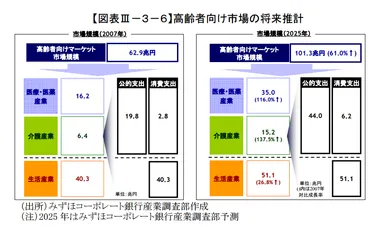 (3) 高齢者向けマーケットの市場規模