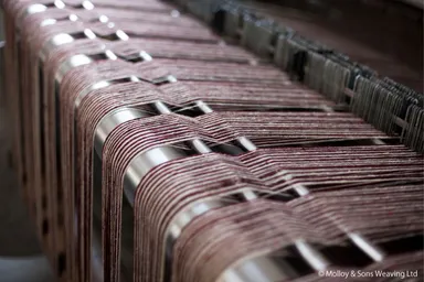 モロイ＆サンズ　織機