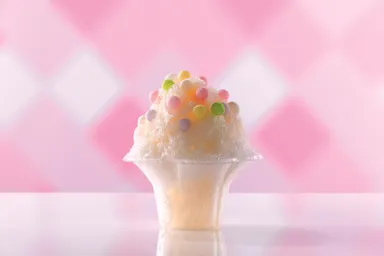 【香川】和三盆/おいり