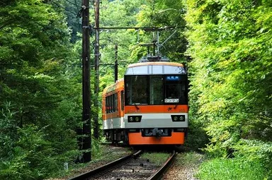叡山電車「もみじのトンネル