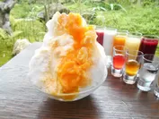 フルーツカクテルかき氷：オレンジ(イメージ)