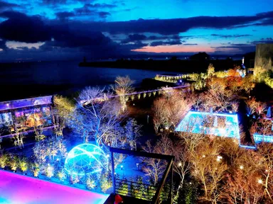 庭園ライトアップ