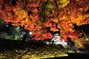 鶴ヶ城の紅葉2