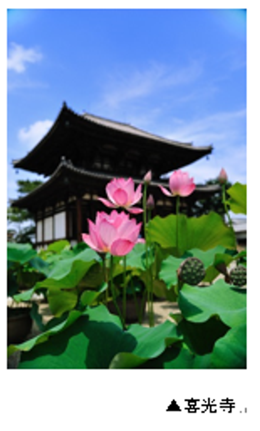 【奈良交通】夏季限定　定期観光バスの運行について