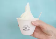 ガンジー牛乳と昆布だしのUMAMIソフトクリーム
