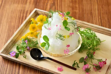 【界伊東】花の香り漂うかき氷