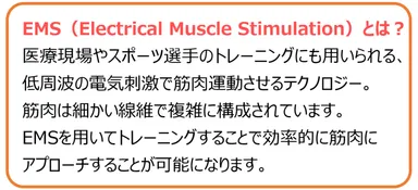 EMSとは？