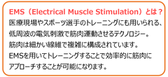 EMSとは？