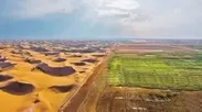 内モンゴル_砂漠の土壌化1