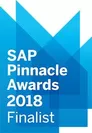 2018 SAP(R) Pinnacle Awards 受賞ロゴ