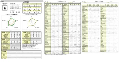 RM財務格付シートサンプル(一部抜粋)