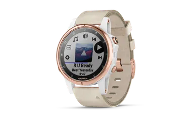 音楽(fenix 5s Plus Sapphire Rose Gold)