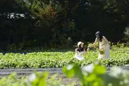 【星のや軽井沢】野菜畑ショートトリップイメージ