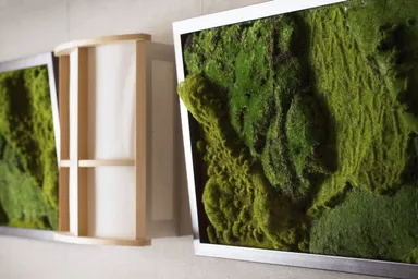 【奥入瀬】苔ルーム壁飾り