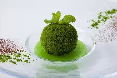 【奥入瀬】苔玉アイス