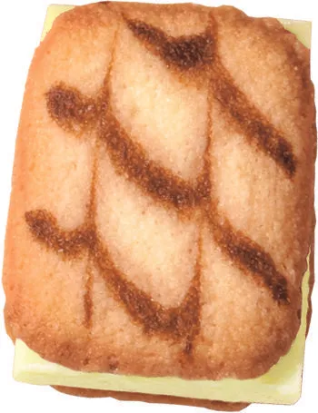 ブランチュールミニチョコレート濃厚ココナッツミルク生地2