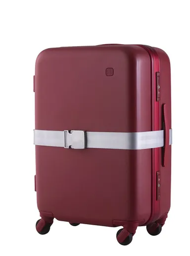 本体色との対比を楽しむベルト