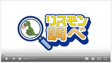 リスモン調べ動画キャプチャ