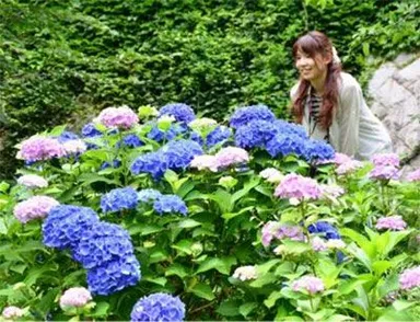 六甲高山植物園