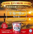 『つづける 恵 megumi ガセリ菌ＳＰ株シリーズで内臓脂肪を減らそうキャンペーン』イメージ