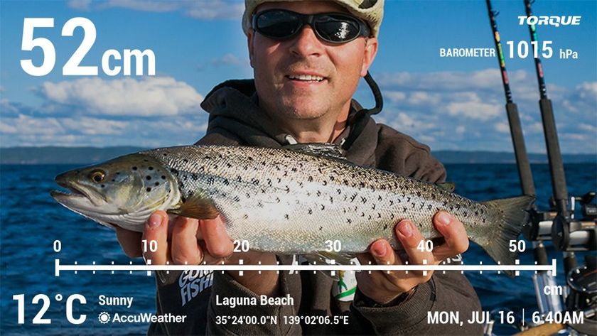 「TORQUE（Ｒ）」 G03がAndroid TM 8.１にOSアップデート
釣った魚の長さを計測し写真に残せるカメラ新機能も追加
