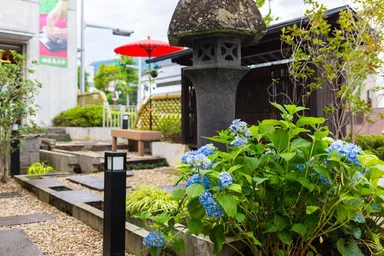 茶庭付き和風ぷりん専門店 1