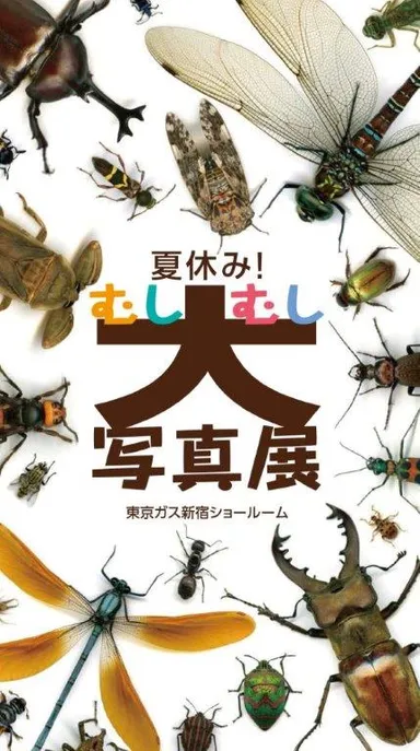 超高解像度こども大昆虫写真展