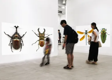 ムシを1mの大きさに拡大展示