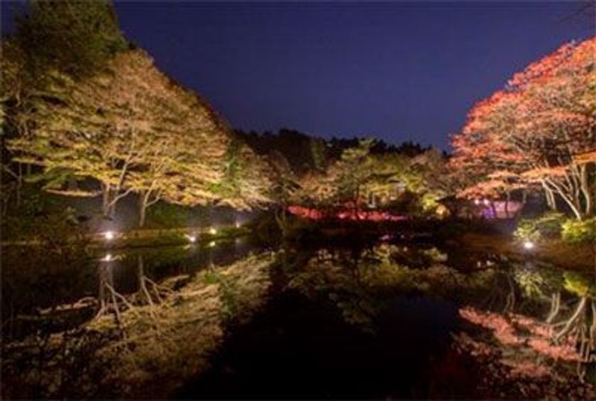 ライトアップされた紅葉とアートを楽しむ
六甲高山植物園　夜の紅葉散策
10月19日(金)～11月11日(日)開催！