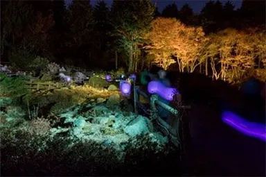 Glow with Night Garden Project in Rokko  提灯行列ランドスケープ 2017