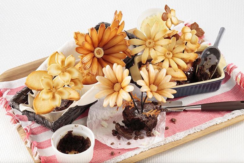 本物を超えた!?食品サンプルの魅力に迫る夏!
北アルプスの絶景を望む長野県の美術館にて
「FOOD SAMPLE展~ザ・リアル~」開催!!