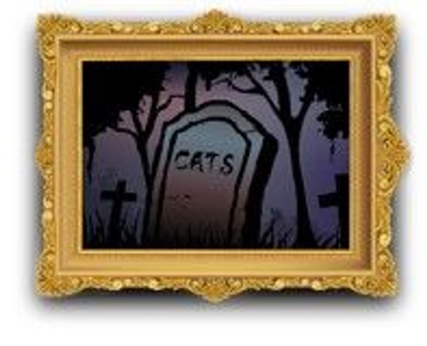 マックハウス渾身のオリジナルブランド
バイカースタイル「Devilcats MOTORCYCLE」キッズ新登場