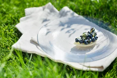 【ホテルブレストンコート】2018夏デザートコース_3品目_ブルーベリーの丘_01