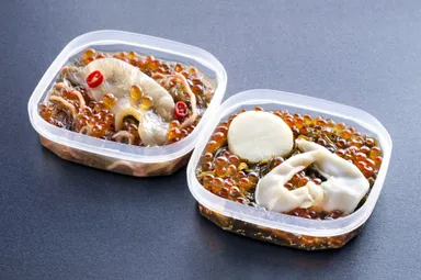 海から未来への玉手箱［イメージ］3