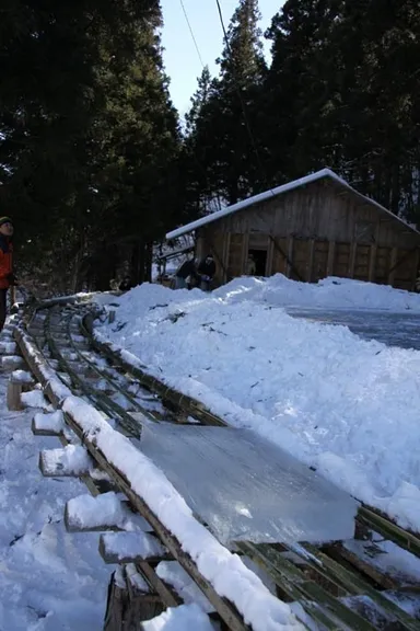 切り出した氷を氷室へ運搬