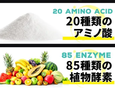 ウルトラチャコールの配合成分(2)