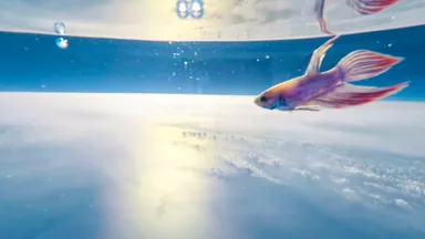 上空25,000m付近の様子(1)