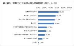 夏の大掃除調査(自宅で過ごす理由)