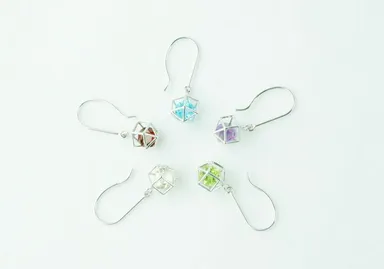 クラウドファンディング　アイテム(5)