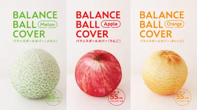 バランスボールカバー 2