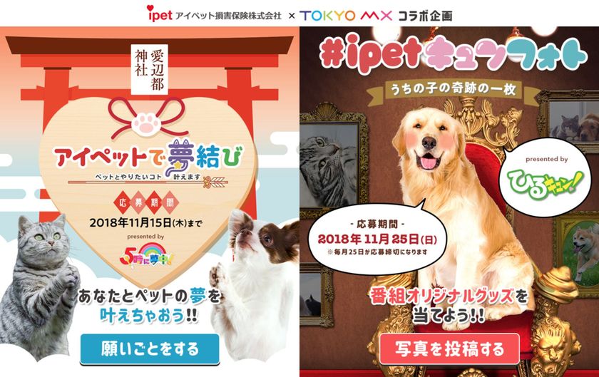 【ペット保険のアイペット×TOKYO MX】

