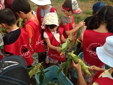 大人が参加できない「はとバスツアー」1