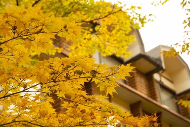 【奥入瀬】テラス側全景 (2)